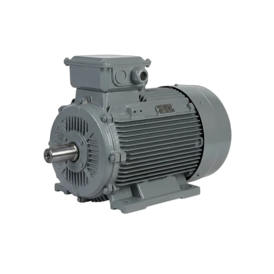 Electrical Motors